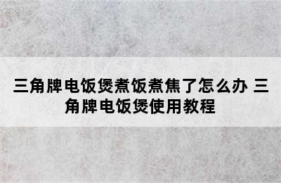 三角牌电饭煲煮饭煮焦了怎么办 三角牌电饭煲使用教程